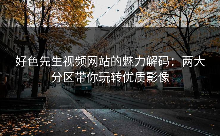好色先生视频网站的魅力解码:两大分区带你玩转优质影像
